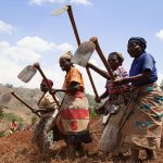 Rwanda farmers - CIDRA PROJECTS